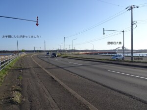 ４日目　温根沼大橋